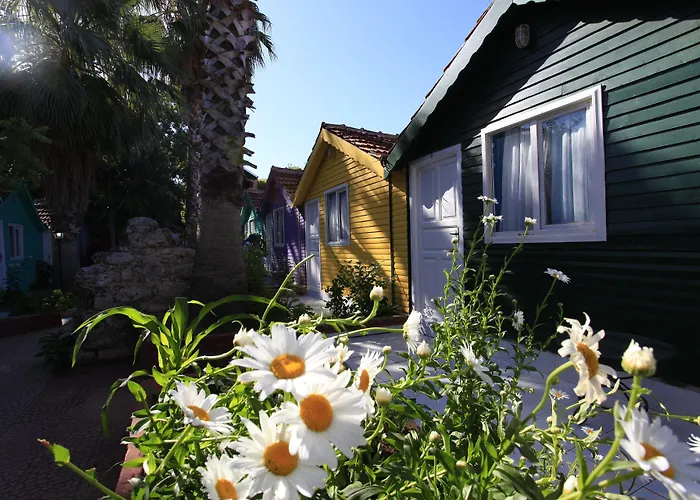 Kuba מלון סייד