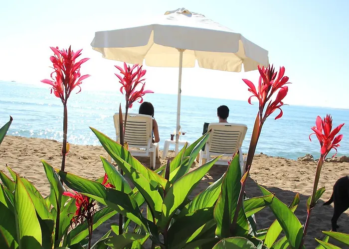 Kuba Ξενοδοχείο Σιντέ